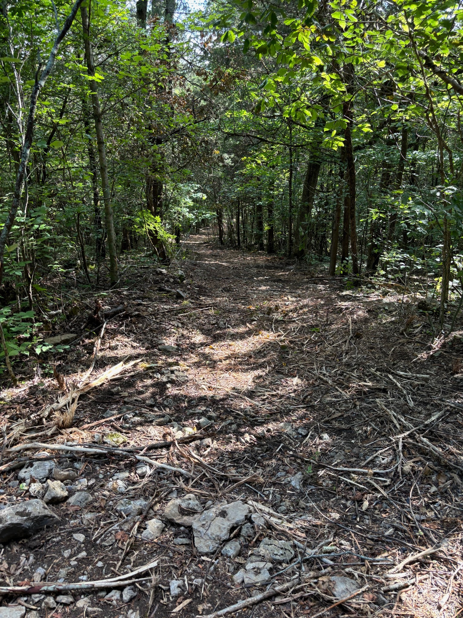 2517 Patton Hollow Road Watertown TN 37184