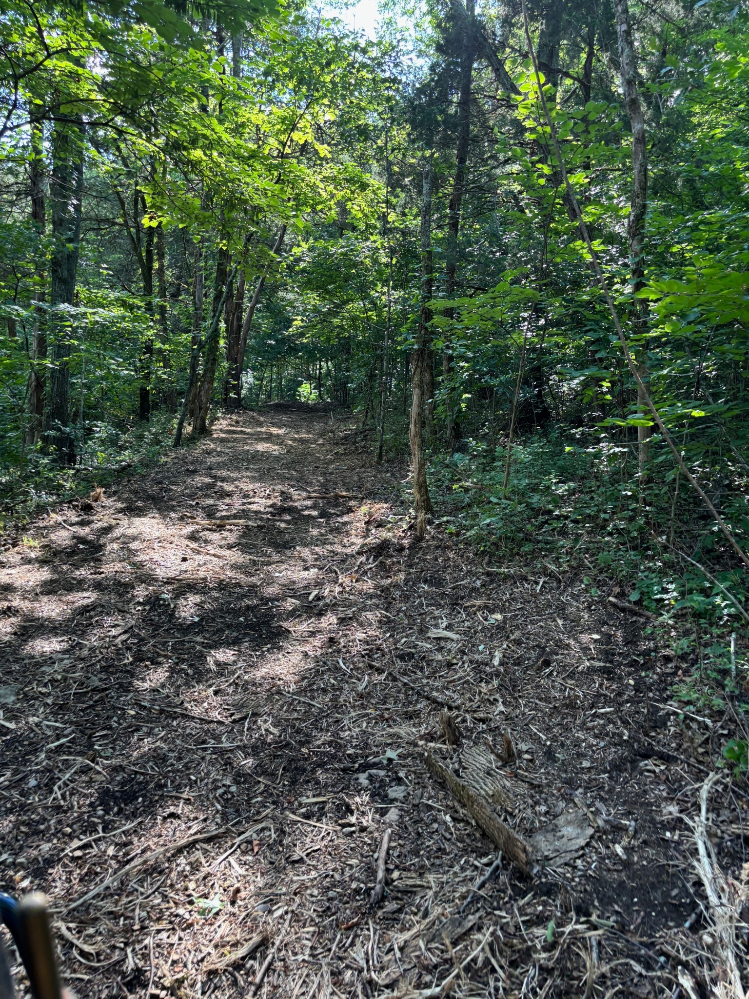 2517 Patton Hollow Road Watertown TN 37184