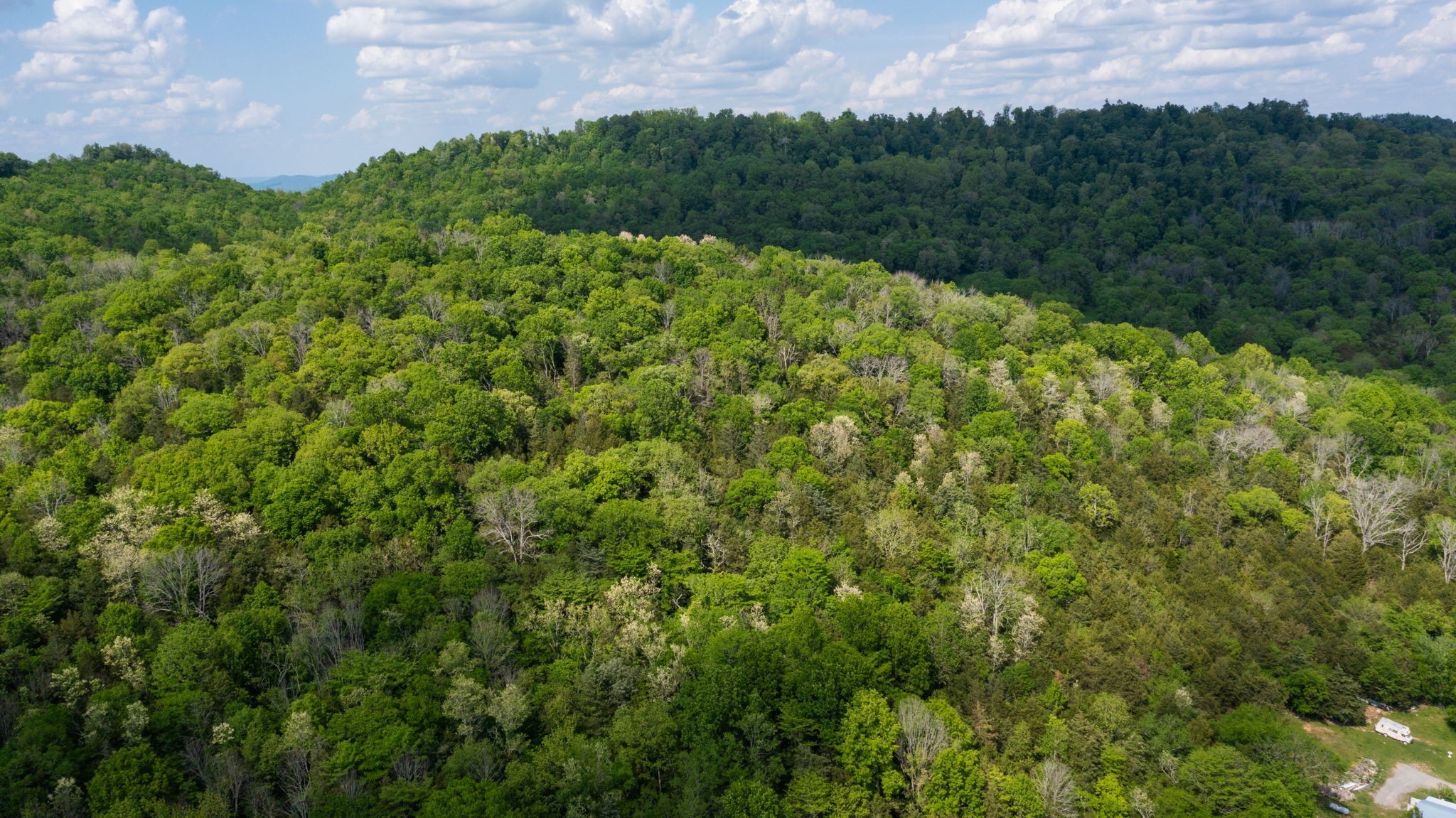 2517 Patton Hollow Road Watertown TN 37184