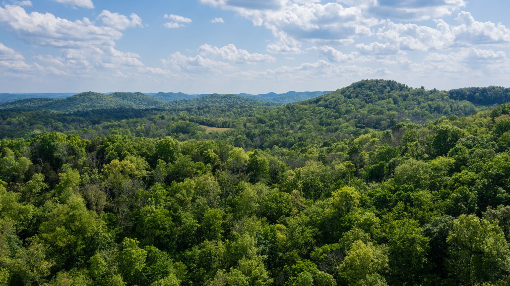 2517 Patton Hollow Road Watertown TN 37184