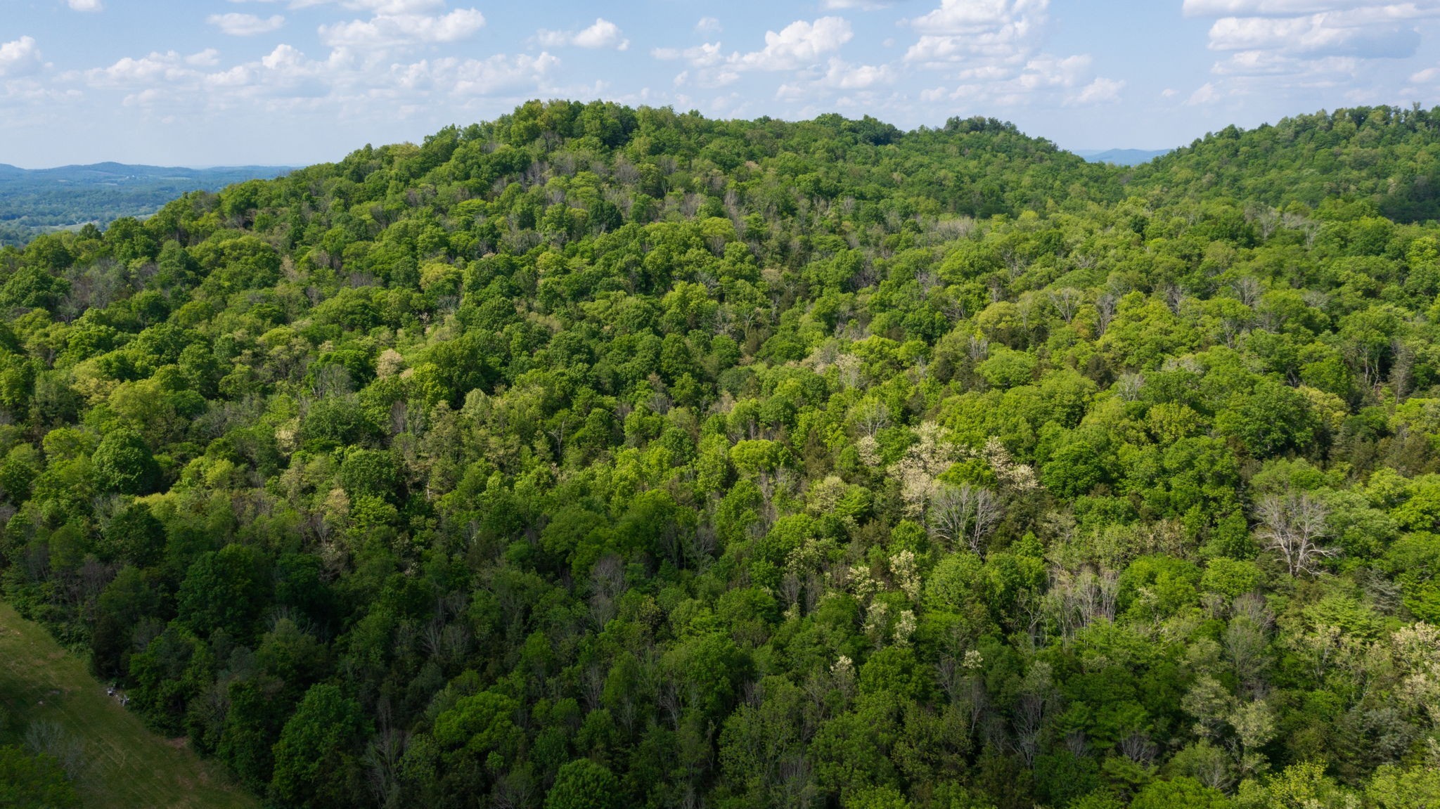 2517 Patton Hollow Road Watertown TN 37184