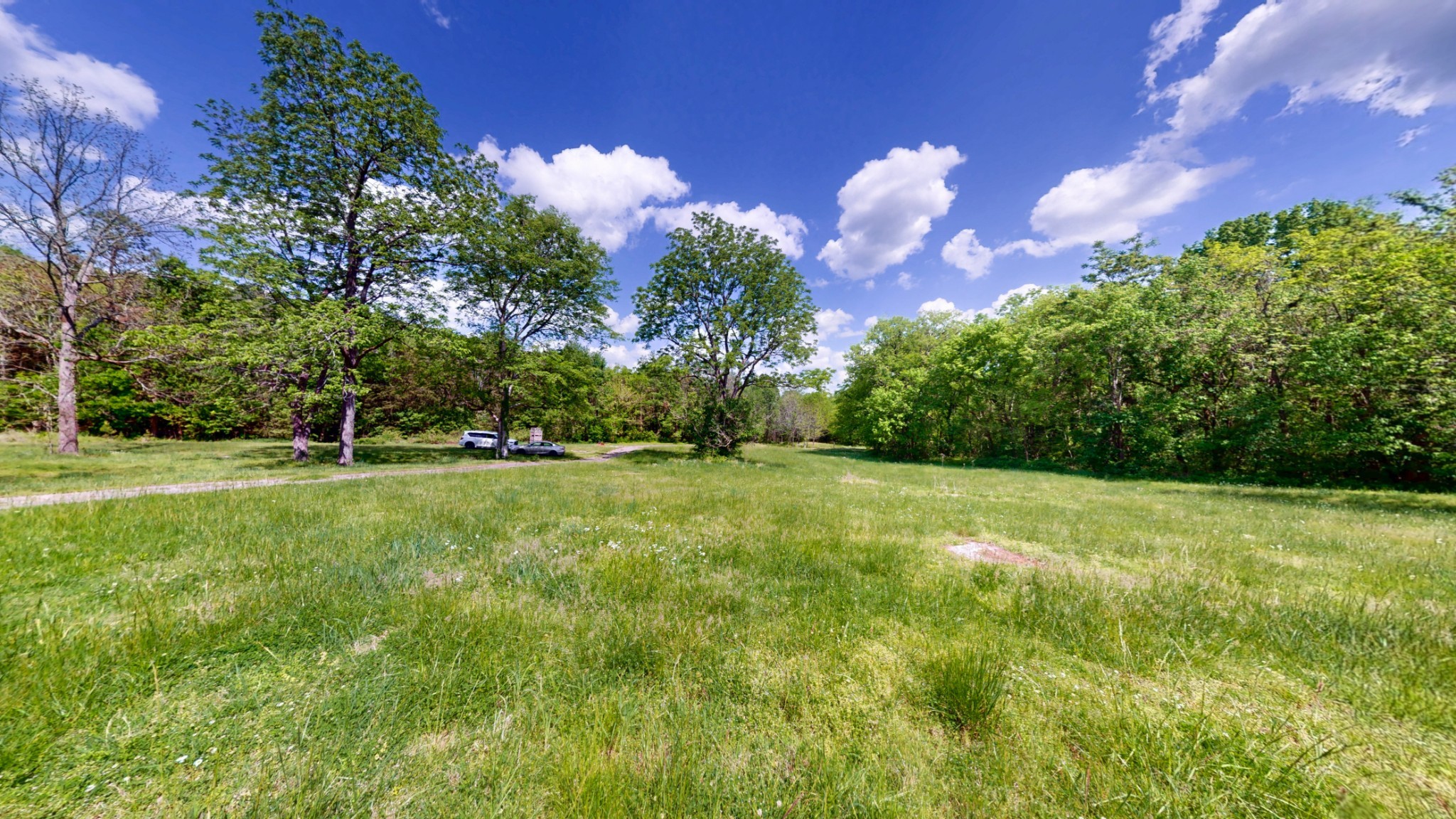 2517 Patton Hollow Road Watertown TN 37184