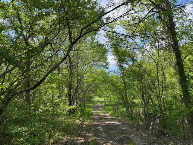 2517 Patton Hollow Road Watertown TN 37184