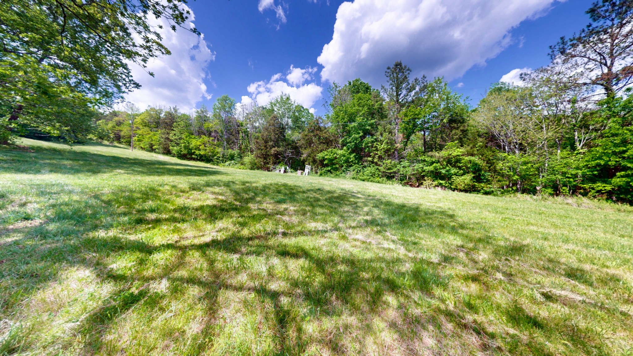 2517 Patton Hollow Road Watertown TN 37184