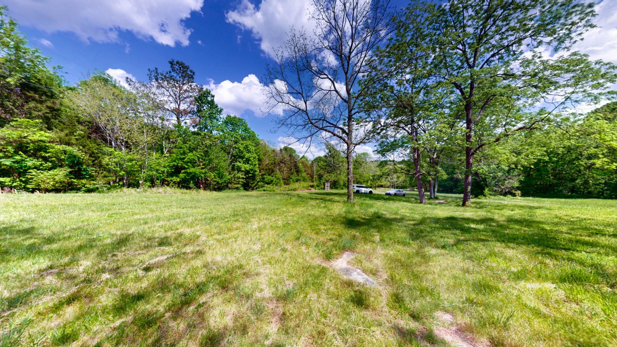 2517 Patton Hollow Road Watertown TN 37184