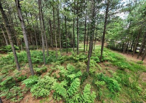 3965 Crockett Point Jasper TN 37347