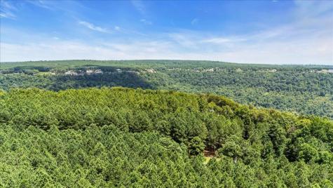 3965 Crockett Point Jasper TN 37347