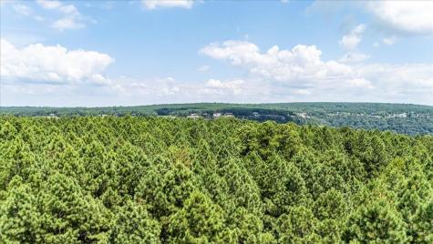 3965 Crockett Point Jasper TN 37347