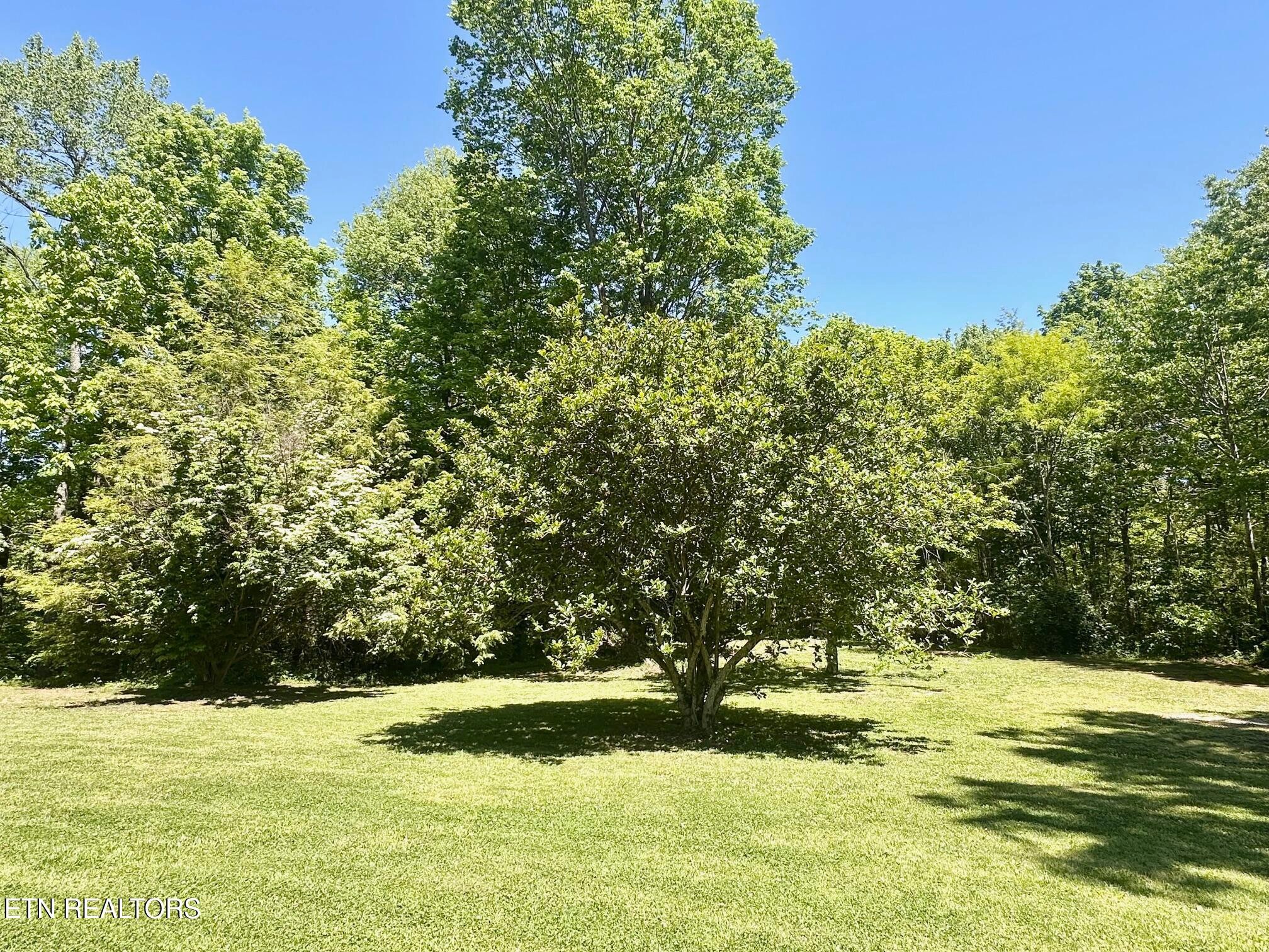 320 Reed Place Monterey TN 38574
