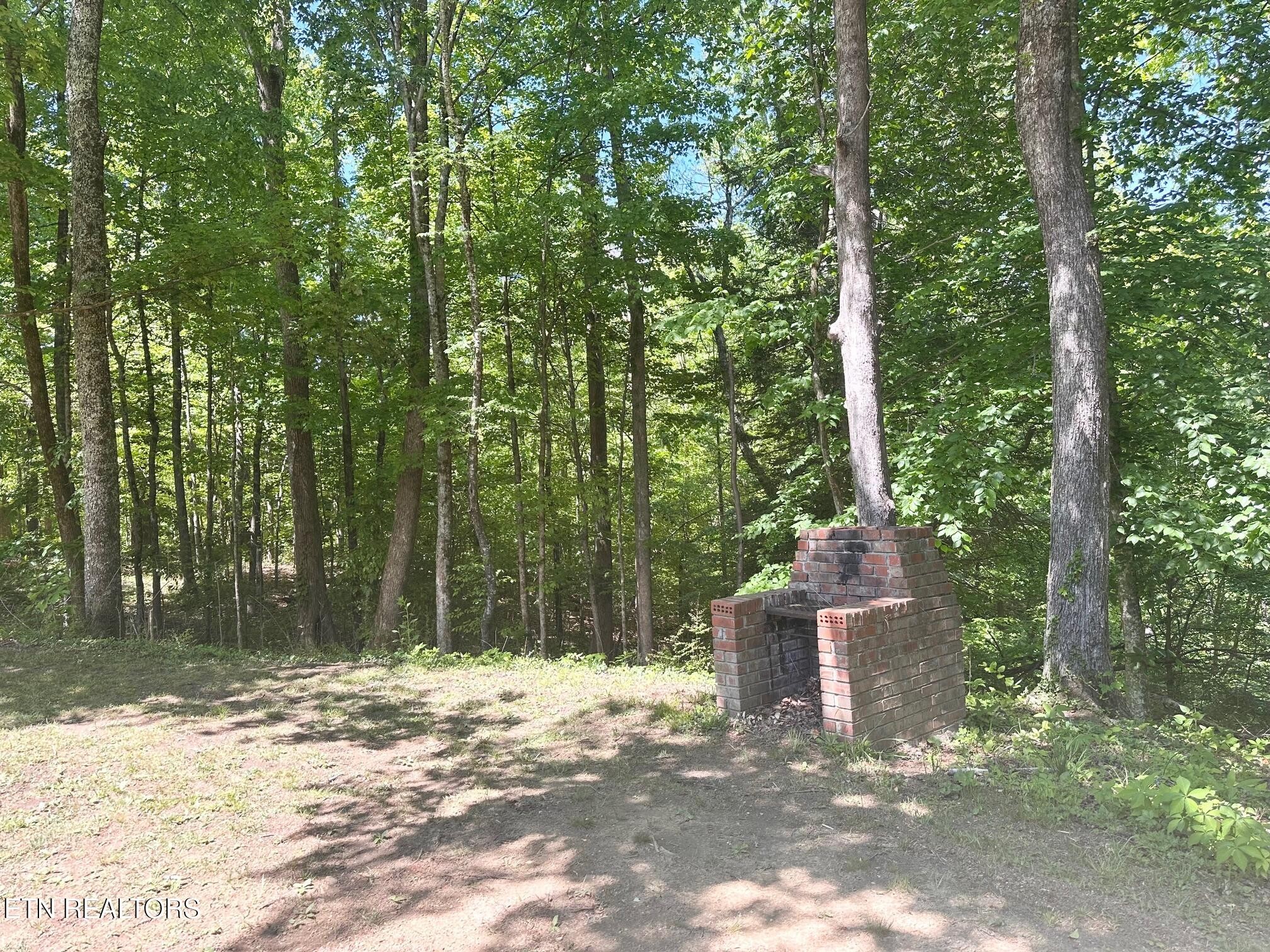 320 Reed Place Monterey TN 38574