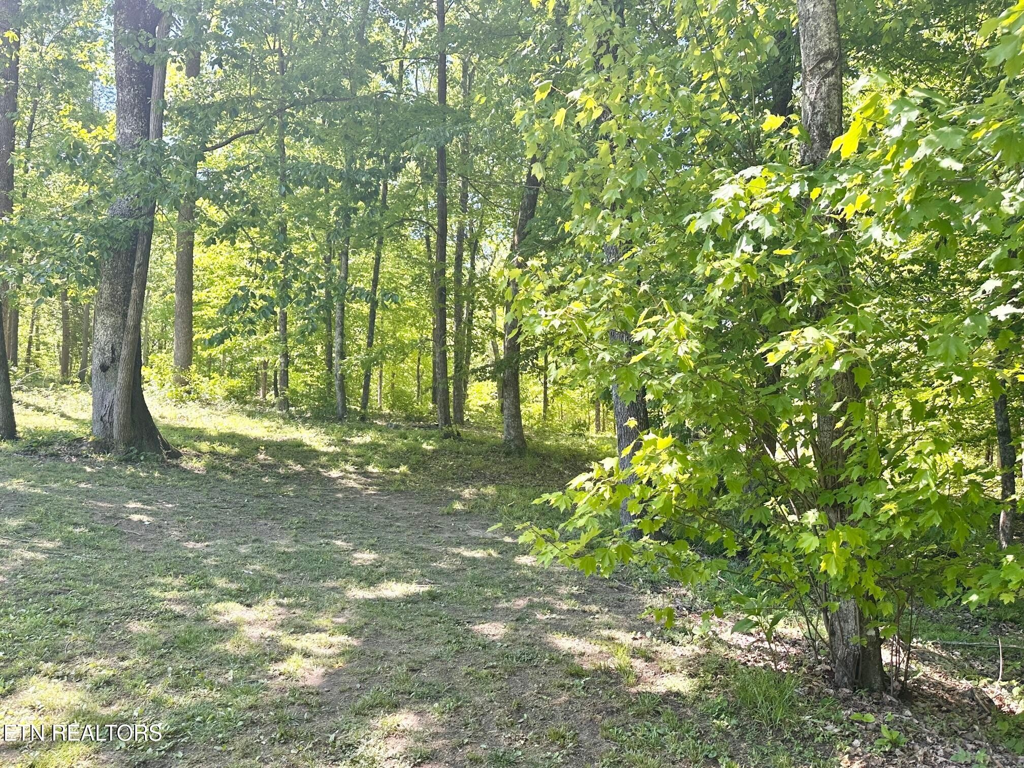 320 Reed Place Monterey TN 38574