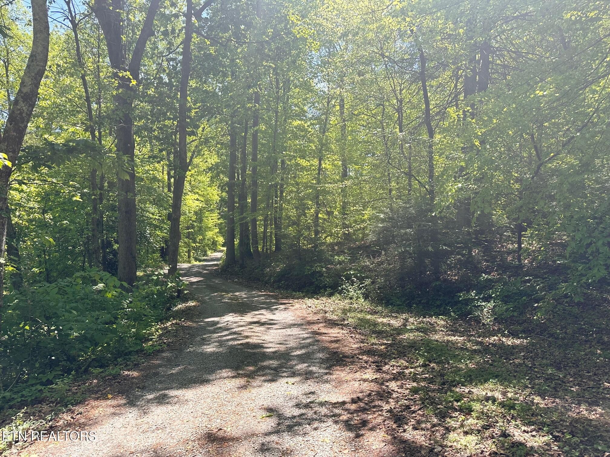 320 Reed Place Monterey TN 38574