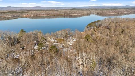 14319 Bluffview Drive Birchwood TN 37308