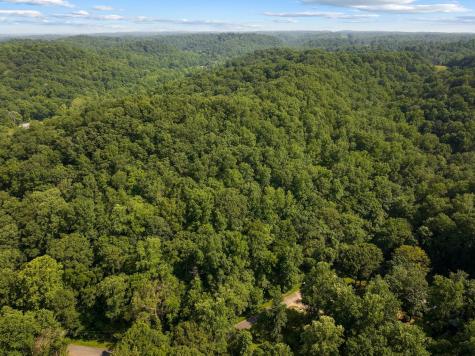 22 Deer Wood Trail Pegram TN 37143