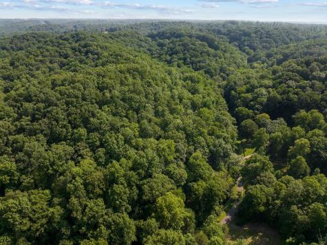 22 Deer Wood Trail Pegram TN 37143