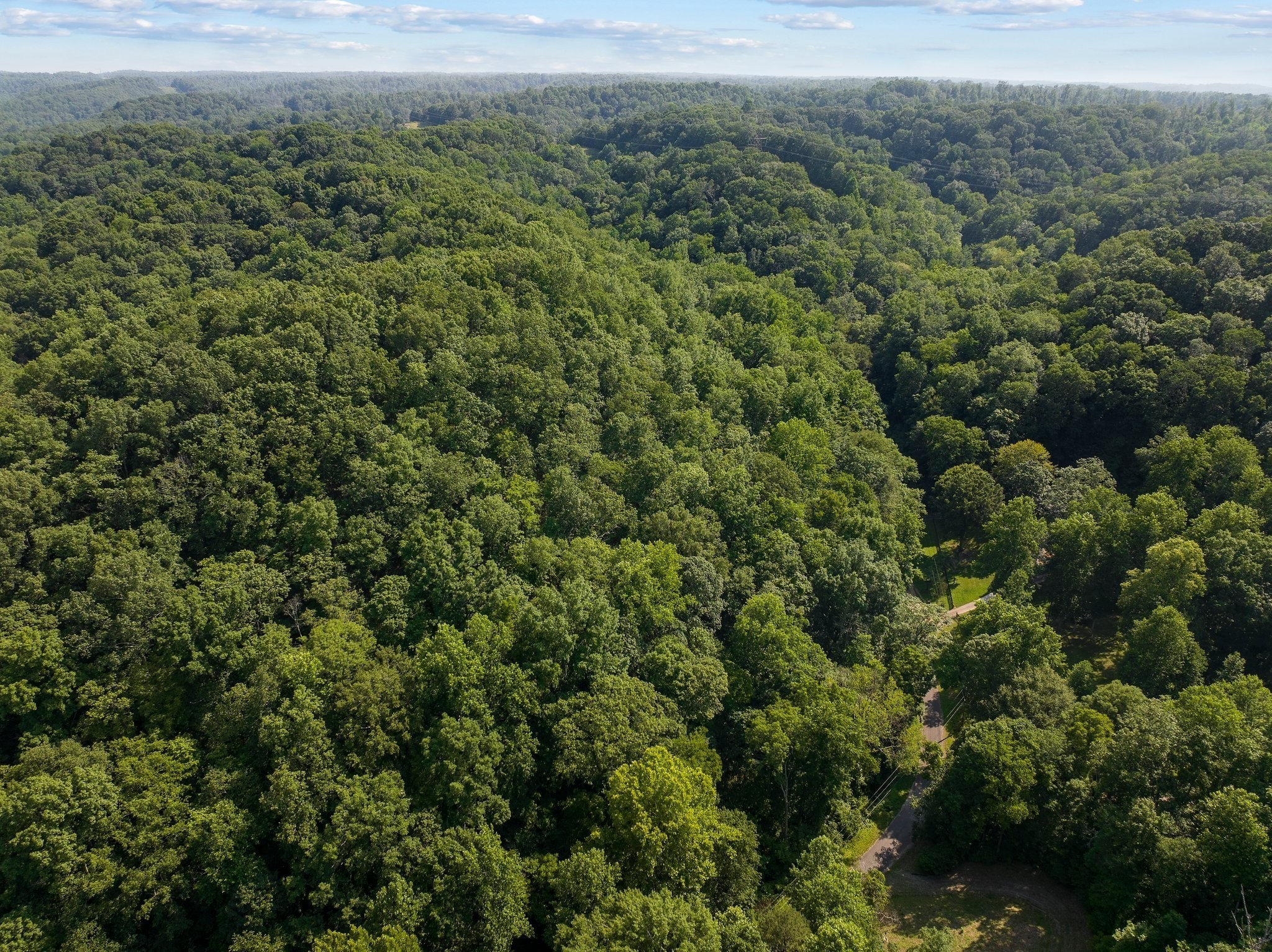 22 Deer Wood Trail Pegram TN 37143