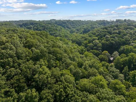 22 Deer Wood Trail Pegram TN 37143