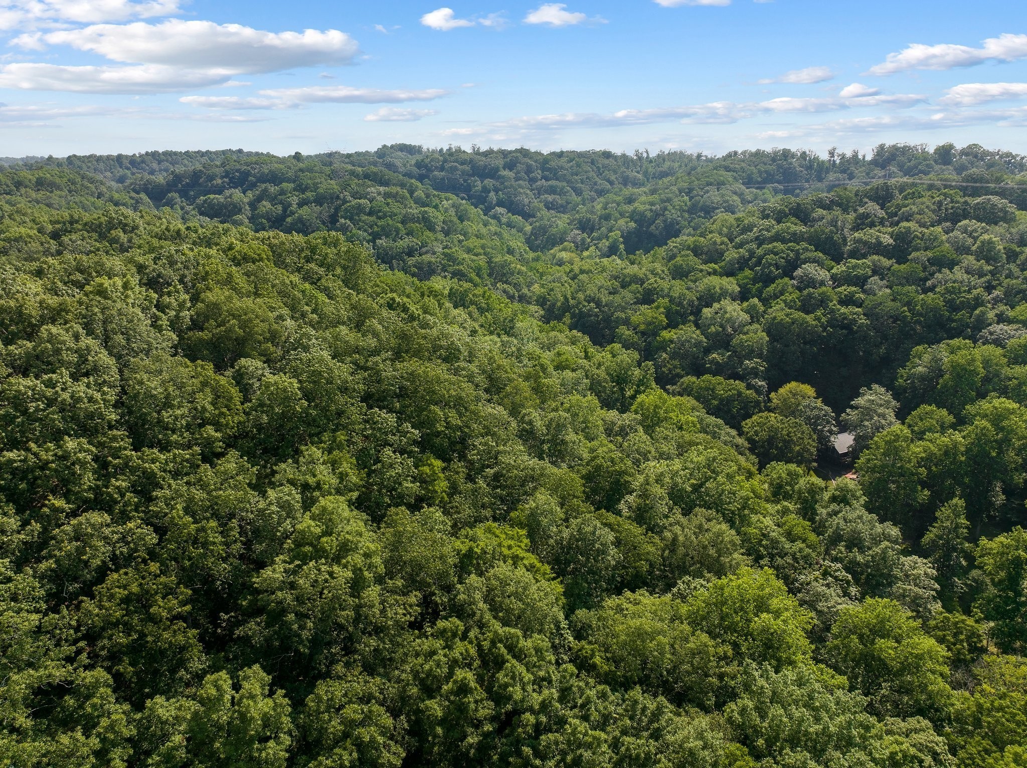 22 Deer Wood Trail Pegram TN 37143