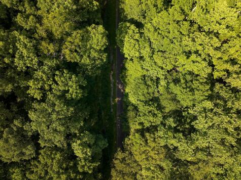 22 Deer Wood Trail Pegram TN 37143
