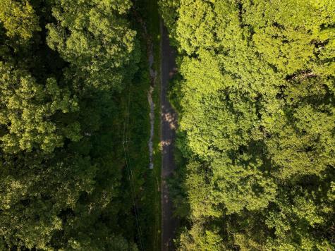 22 Deer Wood Trail Pegram TN 37143
