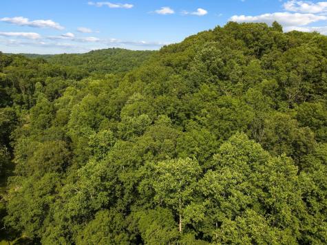 22 Deer Wood Trail Pegram TN 37143