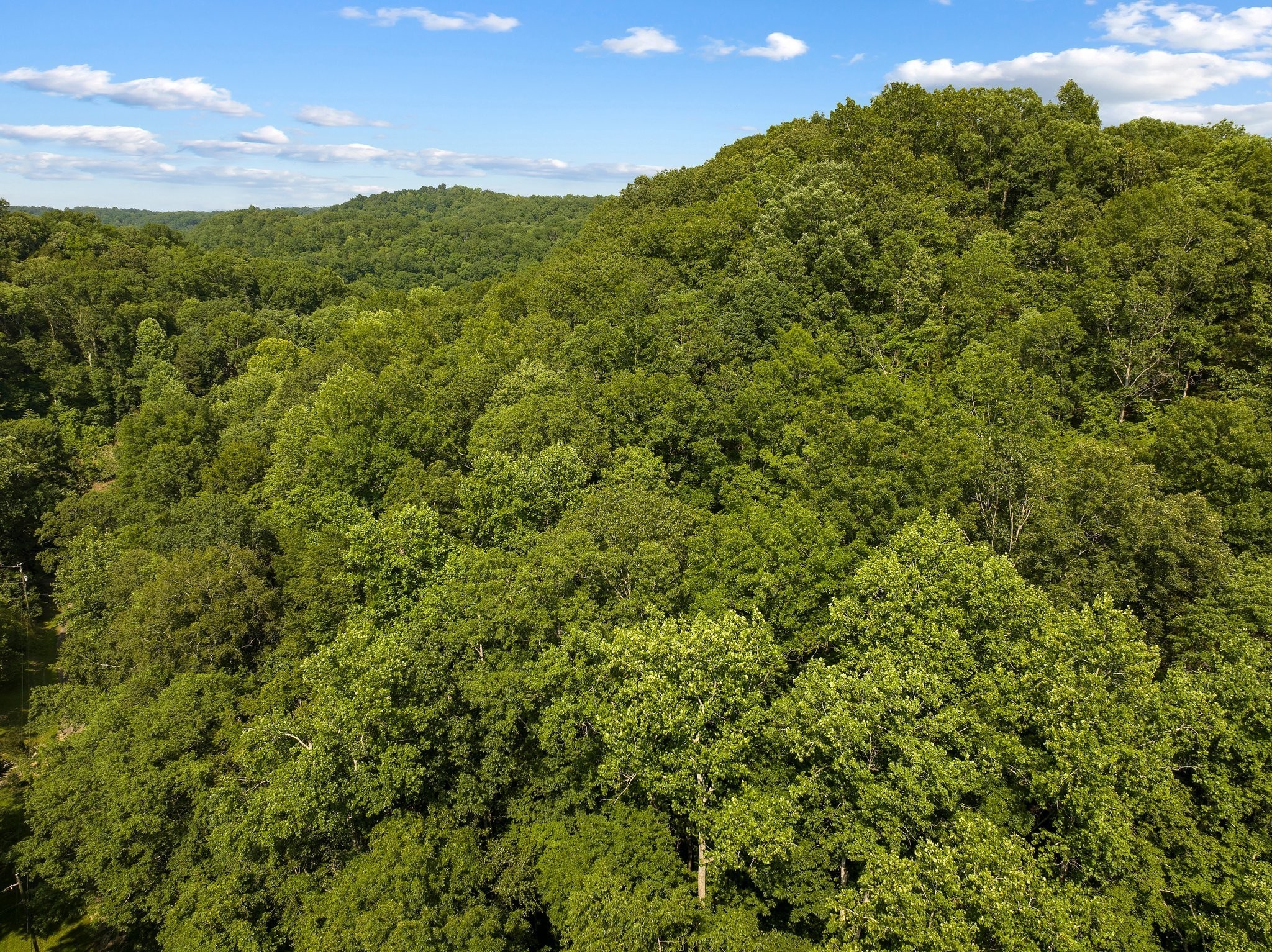 22 Deer Wood Trail Pegram TN 37143