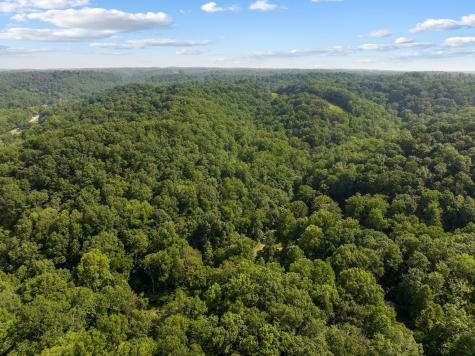 22 Deer Wood Trail Pegram TN 37143