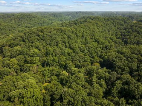 22 Deer Wood Trail Pegram TN 37143