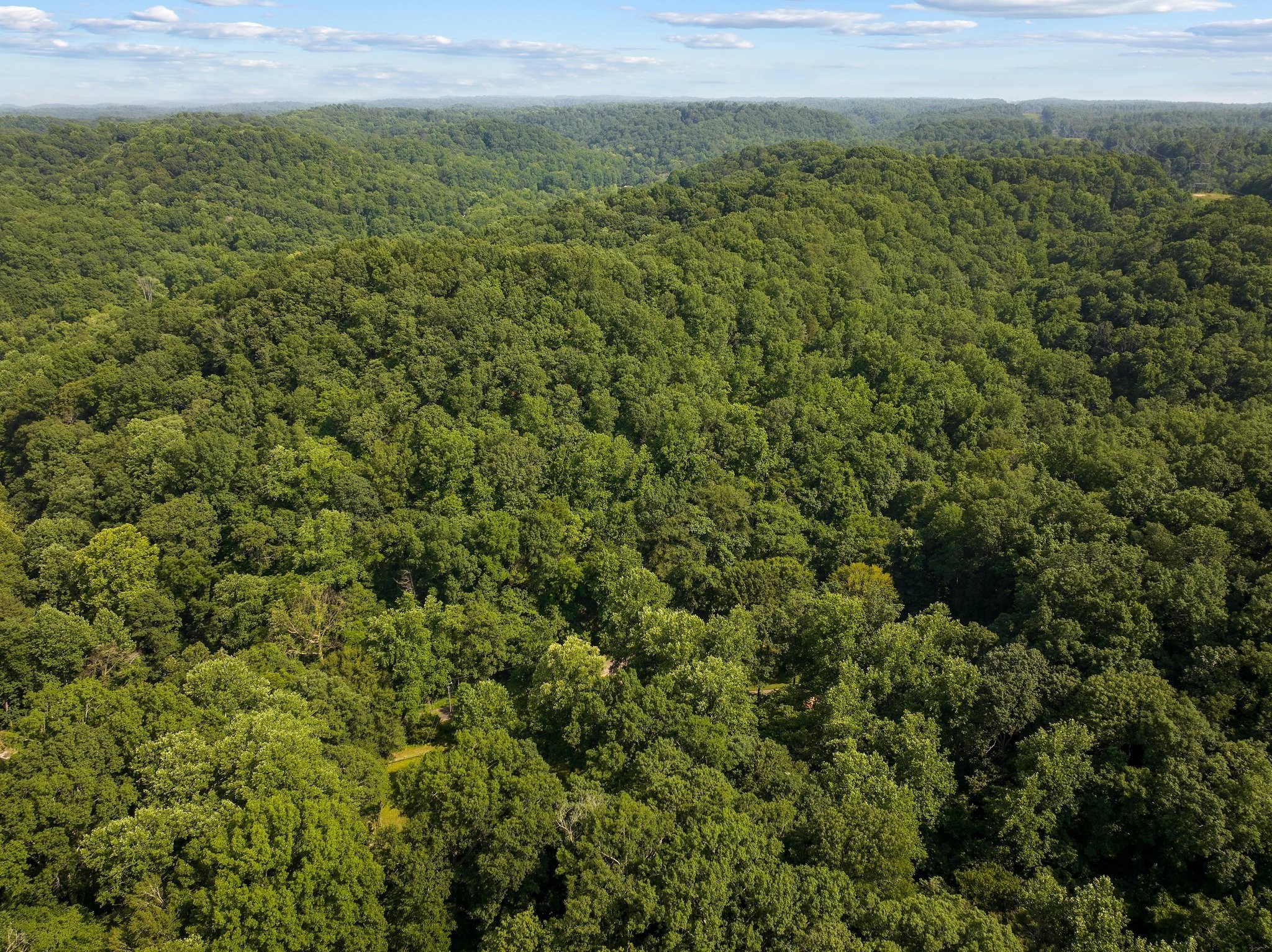 22 Deer Wood Trail Pegram TN 37143