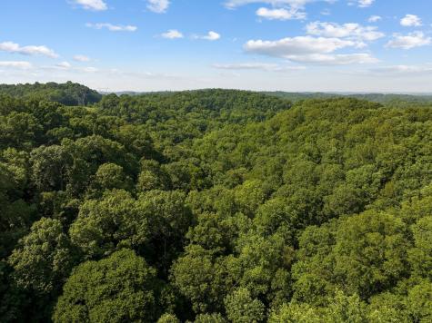 22 Deer Wood Trail Pegram TN 37143