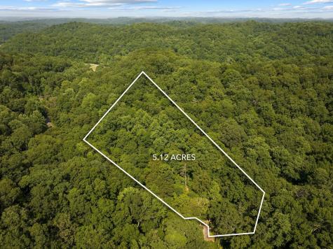 22 Deer Wood Trail Pegram TN 37143
