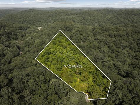 22 Deer Wood Trail Pegram TN 37143