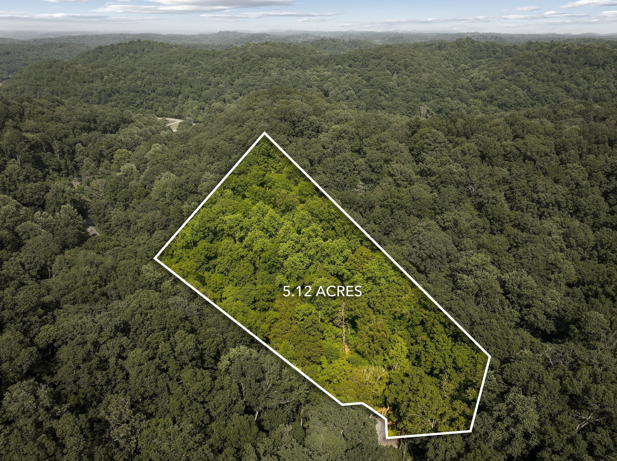 22 Deer Wood Trail Pegram TN 37143