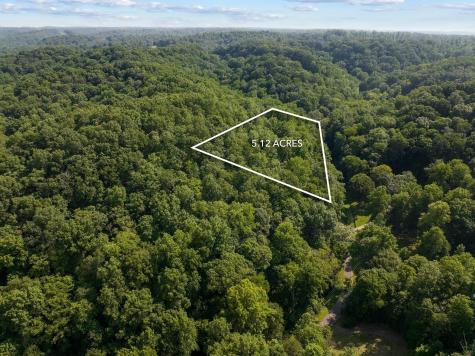 22 Deer Wood Trail Pegram TN 37143