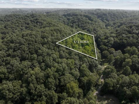 22 Deer Wood Trail Pegram TN 37143