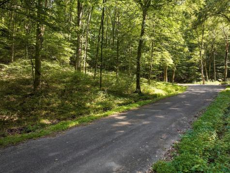 22 Deer Wood Trail Pegram TN 37143