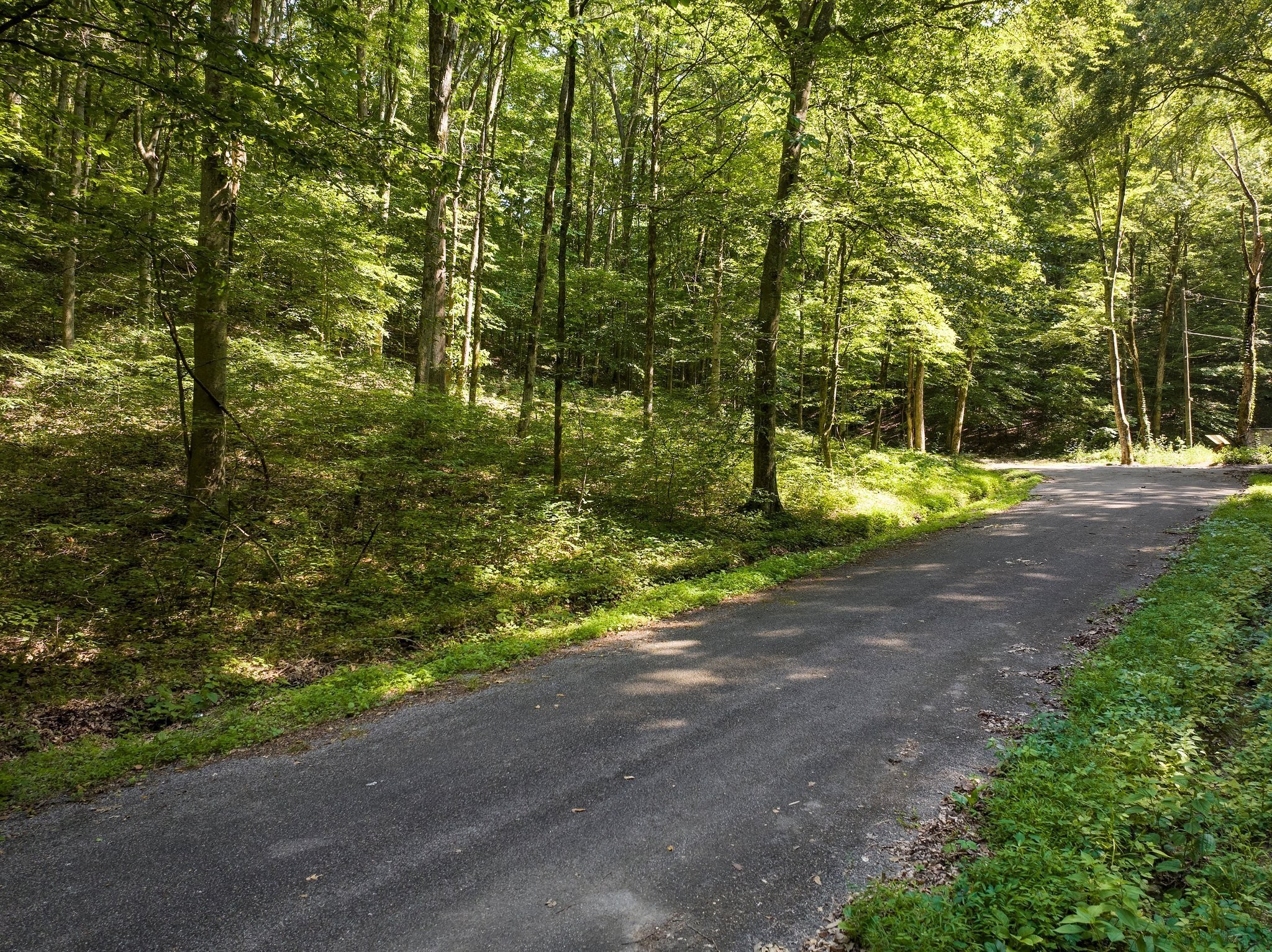 22 Deer Wood Trail Pegram TN 37143