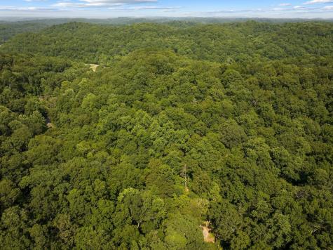 22 Deer Wood Trail Pegram TN 37143
