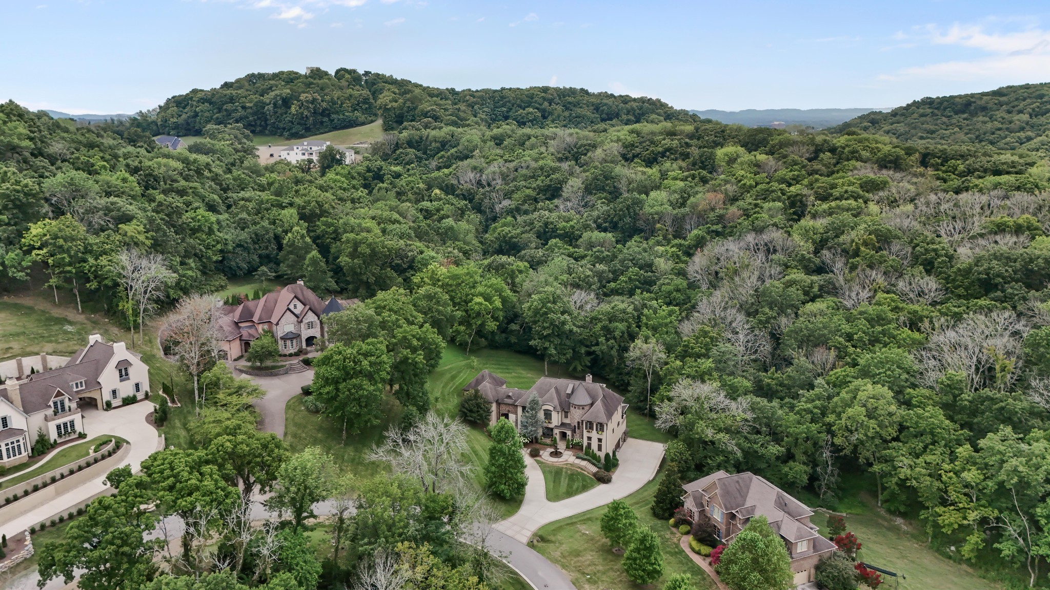 399 The Lady Of The Lake Lane Franklin TN 37067