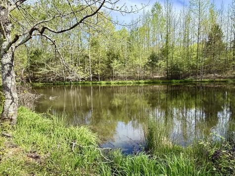 562 Junus Jackson Hollow Road Minor Hill TN 38473