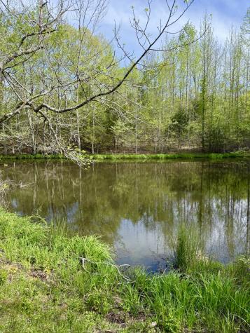 562 Junus Jackson Hollow Road Minor Hill TN 38473