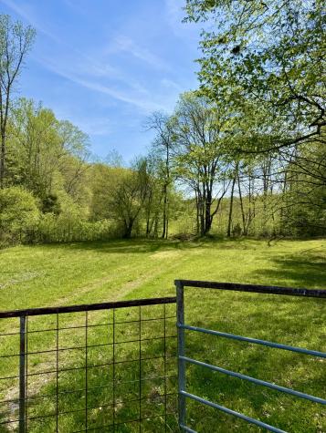 562 Junus Jackson Hollow Road Minor Hill TN 38473