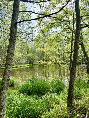 562 Junus Jackson Hollow Road Minor Hill TN 38473