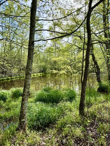 562 Junus Jackson Hollow Road Minor Hill TN 38473