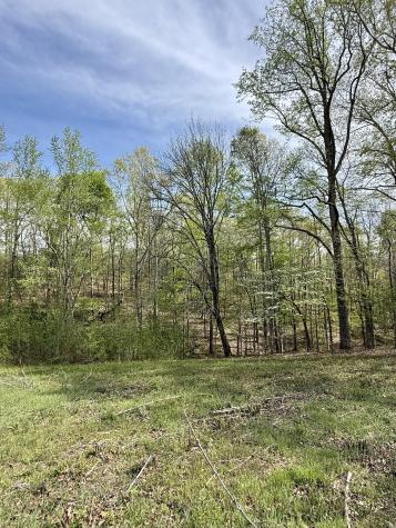 562 Junus Jackson Hollow Road Minor Hill TN 38473