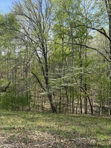 562 Junus Jackson Hollow Road Minor Hill TN 38473