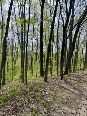 562 Junus Jackson Hollow Road Minor Hill TN 38473