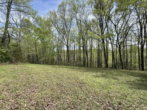 562 Junus Jackson Hollow Road Minor Hill TN 38473