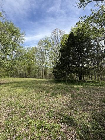 562 Junus Jackson Hollow Road Minor Hill TN 38473