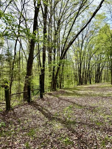 562 Junus Jackson Hollow Road Minor Hill TN 38473